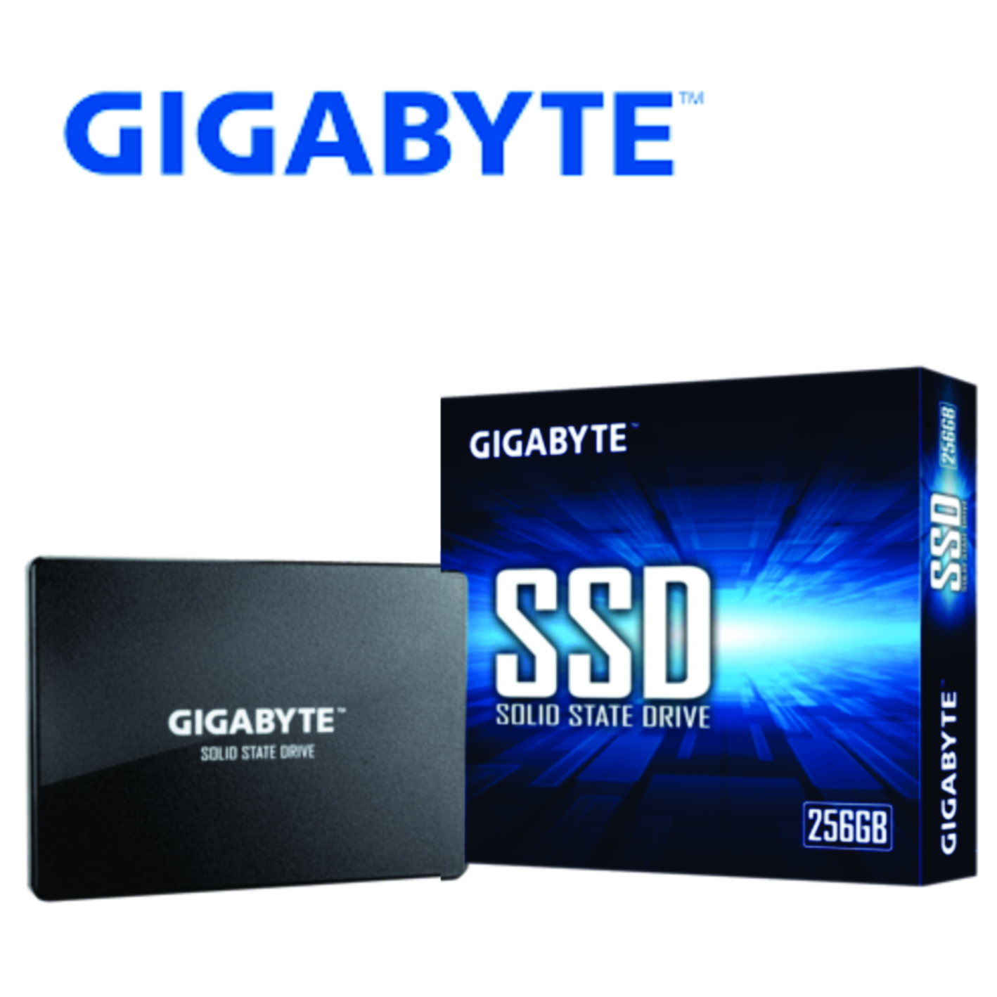 Disco Solido SSD Gigabyte 240GB, SATA 6.0Gb/s, 2.5